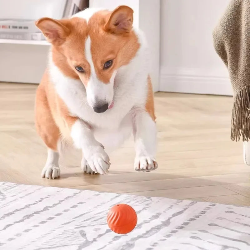 Smart Interactive Dog Toy Ball