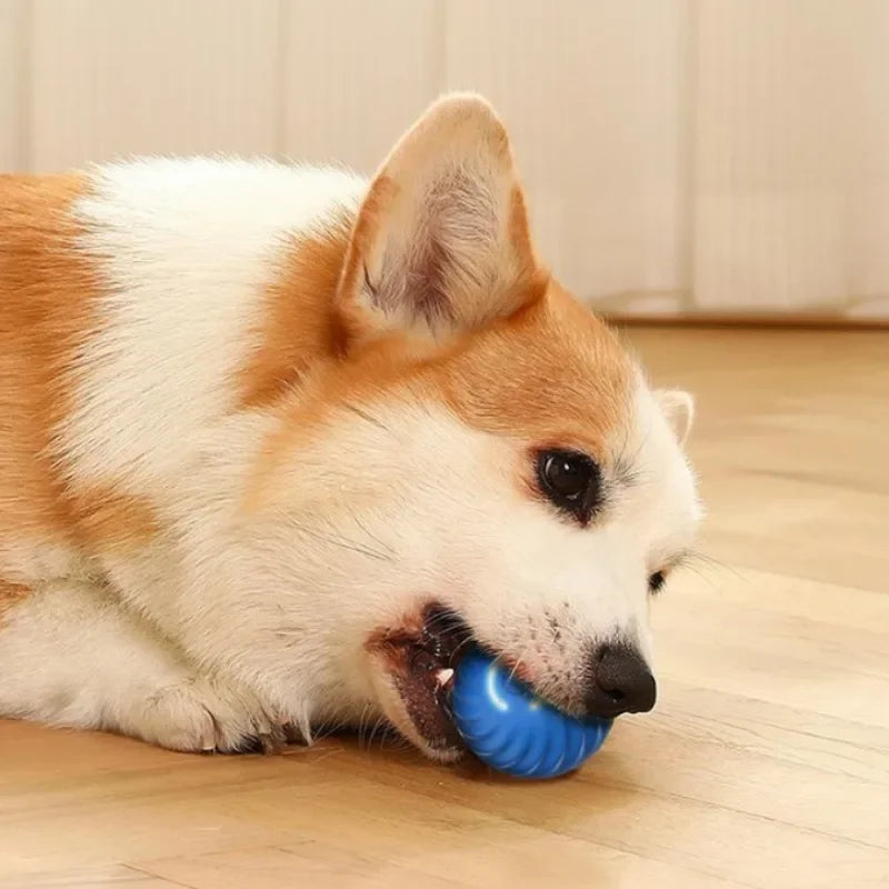 Smart Interactive Dog Toy Ball